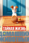 лоракс смотреть онлайн 2015 мультфильм в хорошем качестве